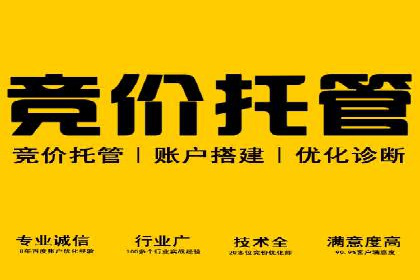 成功案例解析：SEM竞价托管的优化之路